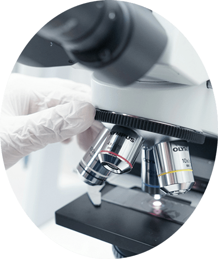 顕微鏡で研究をする様子